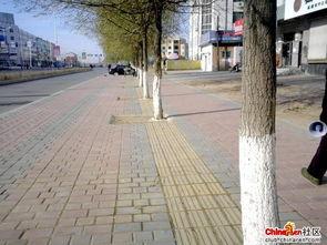 盲道在线观看,在线揭秘无障碍出行之路